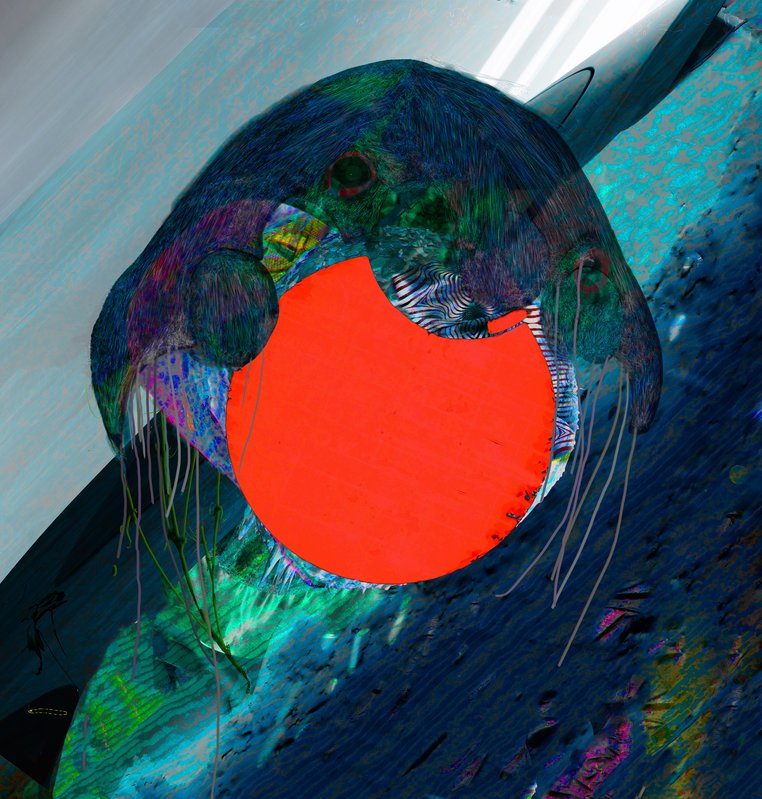 Alex Fischer, Jelly Portrait, 2012-04-15, 686×653㎜, digital